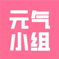 元气小组