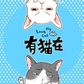 有猫在