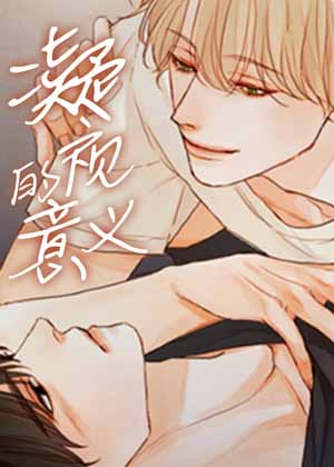 凝视的意义