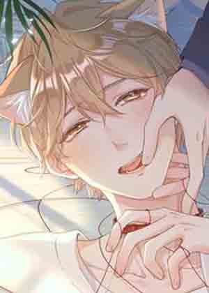 小若猫猫