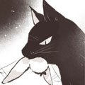 小雀的黑猫养父