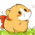 徐芝麻