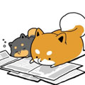 桶柴