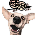 舔狗的丝血反杀