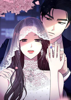 请和我的老公结婚